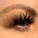 Bianca - Bold, Full-Volume 3D Cat-Eye Lashes
