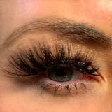 Bianca - Bold, Full-Volume 3D Cat-Eye Lashes