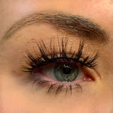Zara - Dramatic, Fluffy, Wispy Lashes