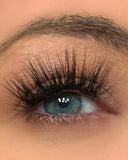 Aurora Refill Set- 19mm