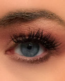 Willow Refill Set- 10mm