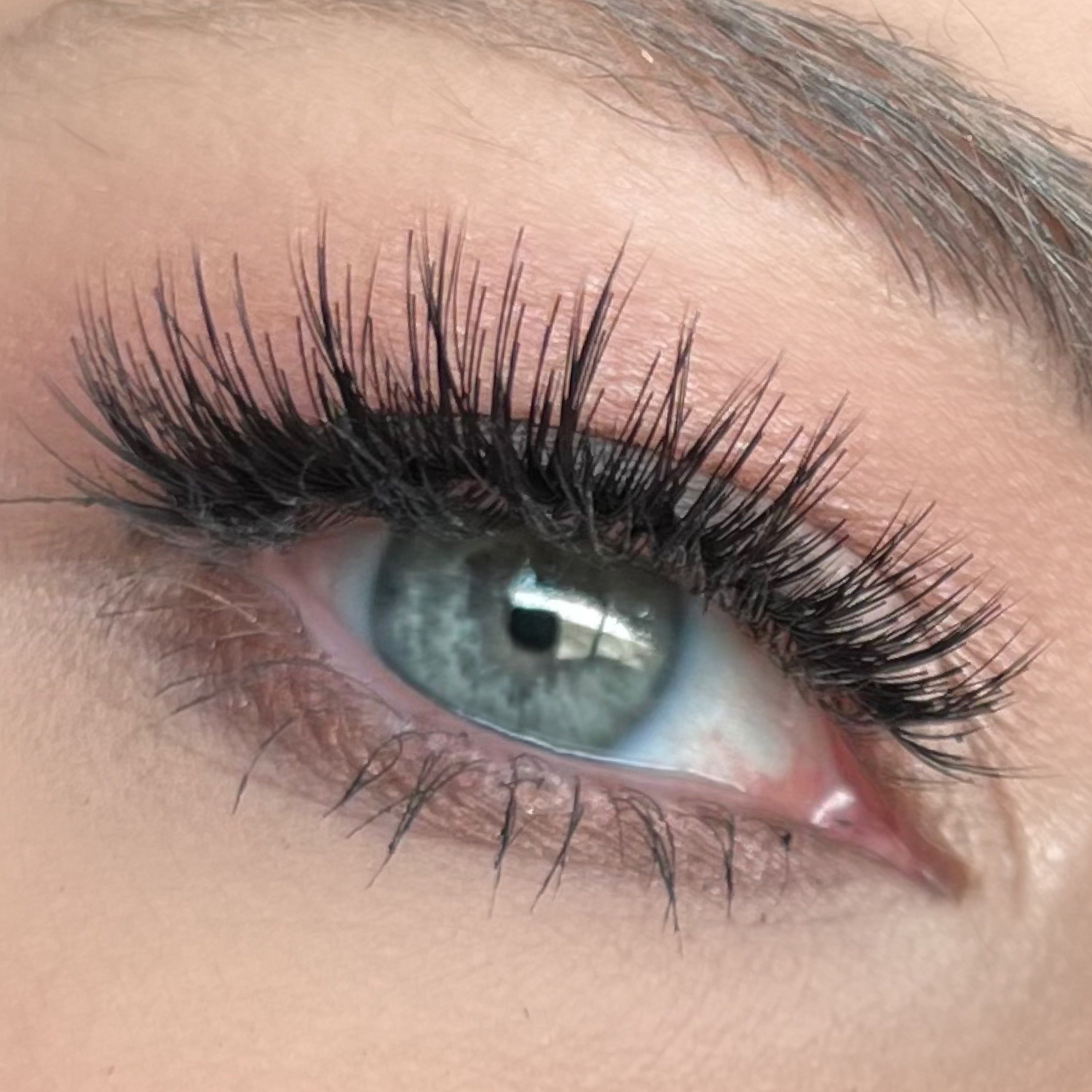 volume lashes